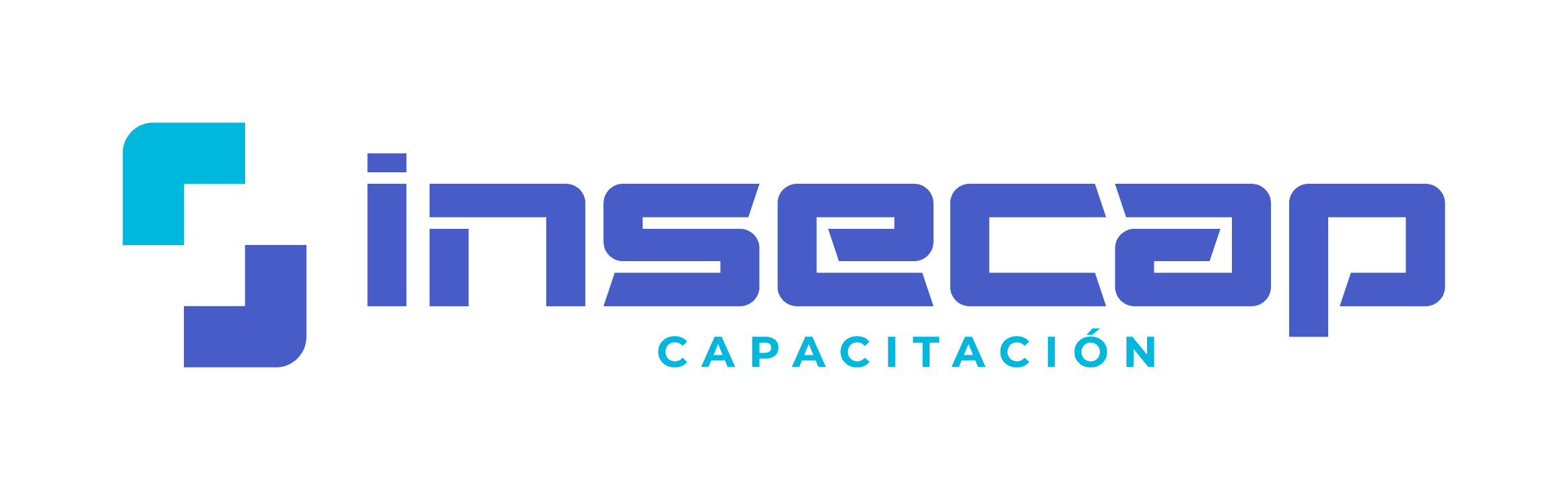 Insecap Capacitación